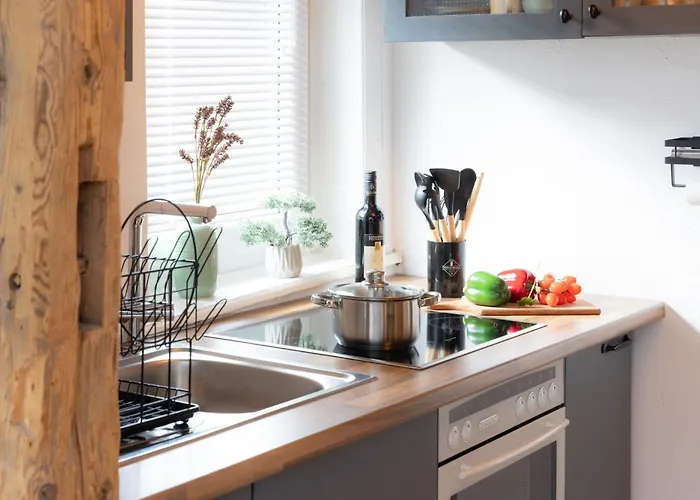 Apartment Harter Brocken Tatort 2 Einheiten Sankt Andreasberg